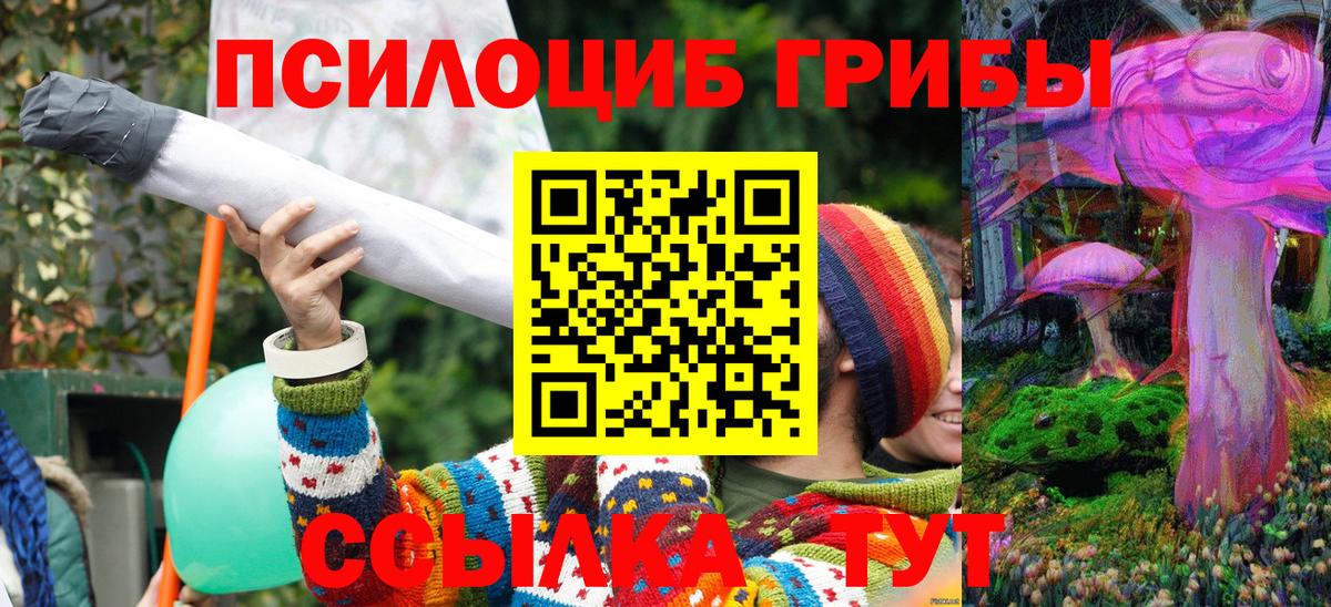 Галлюциногенные грибы Cubensis  Вход с VPN  Сертолово  Псилоцибиновые грибы Magic Shrooms 